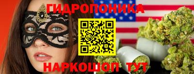 хмурый Сланцы